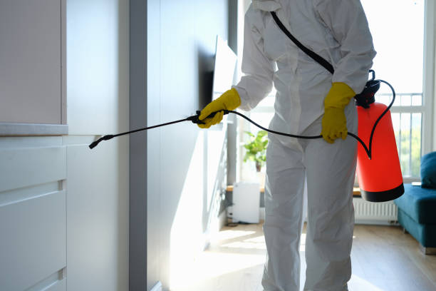 Best Commercial Mold Removal  in Peotone, IL